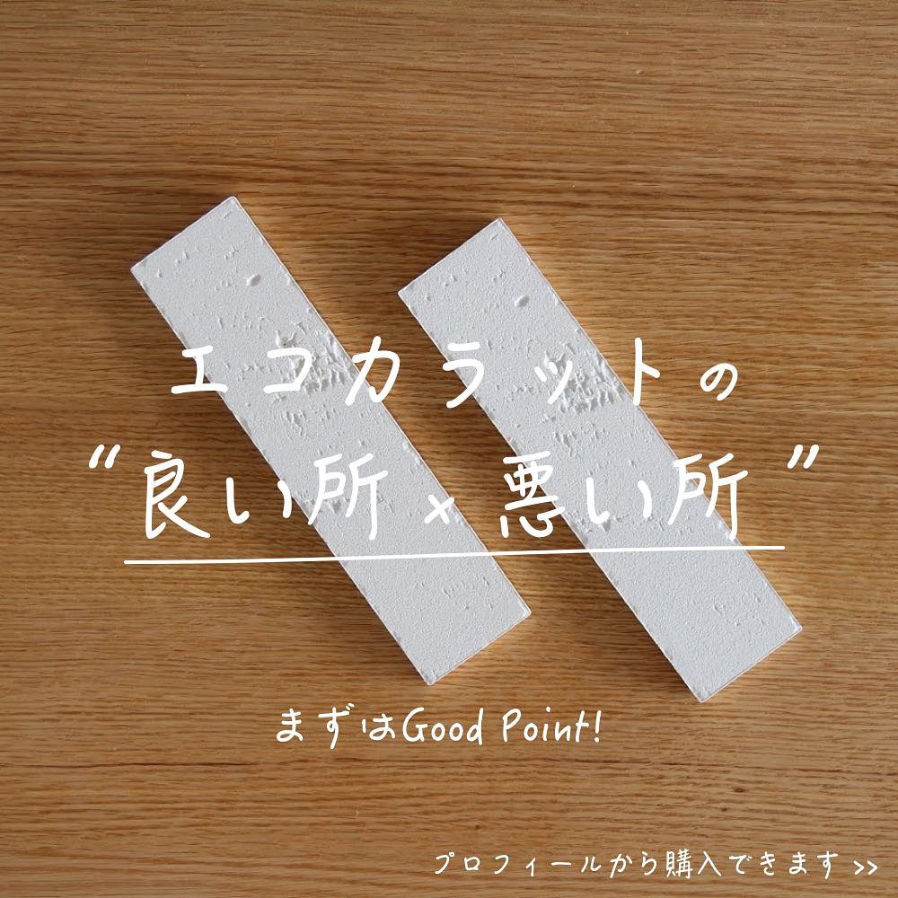 湿気と匂いを消し、日常を「上質」へ変える壁